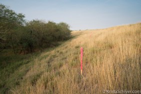 (c)Krista_Schlyer-01005