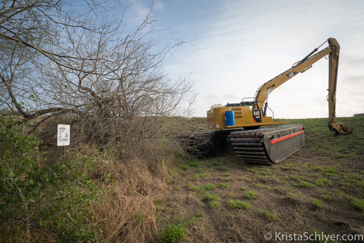 (c)Krista_Schlyer-01012