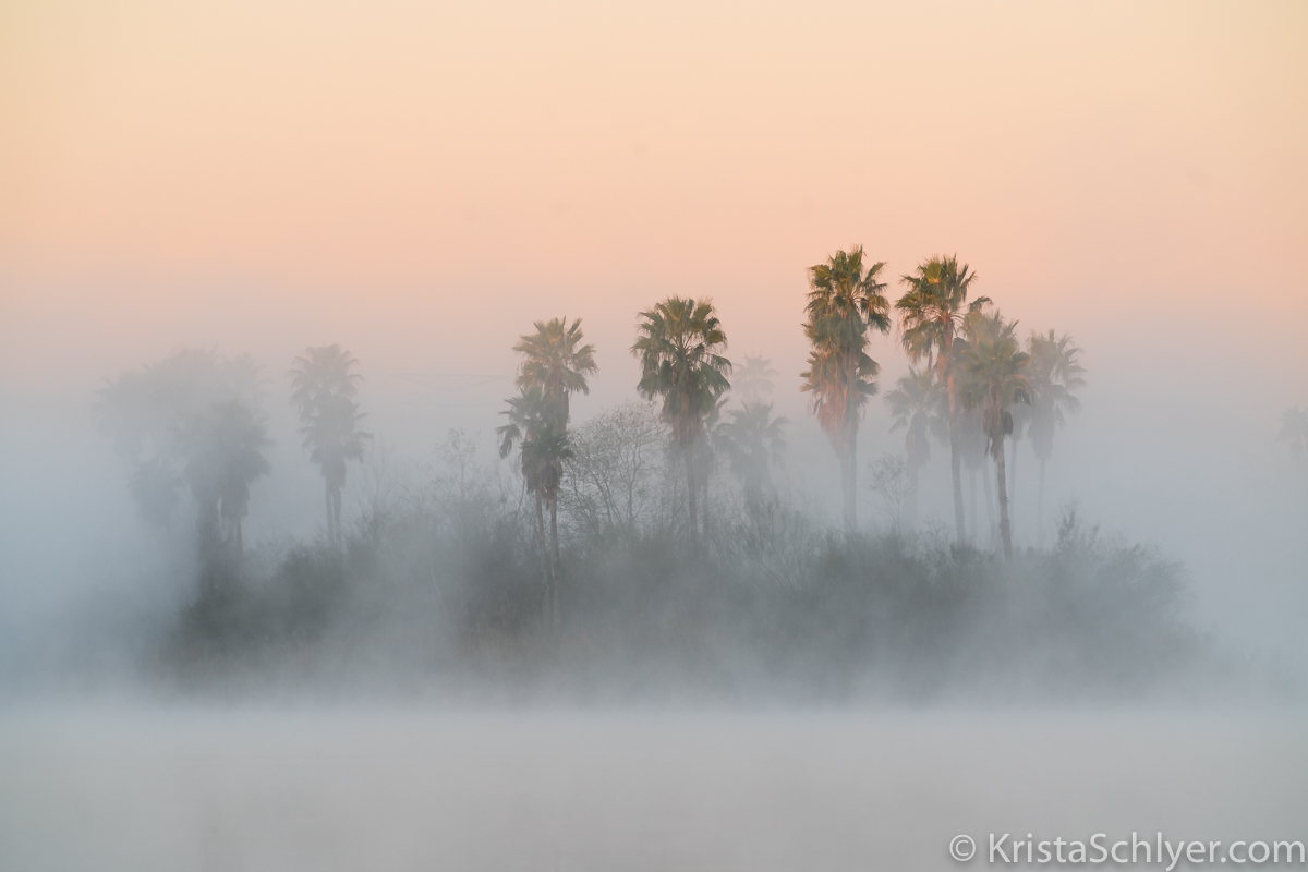 (c)Krista_Schlyer-02330