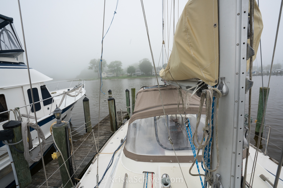 (c)Krista_Schlyer_-05380