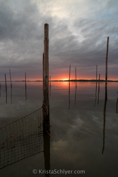 (c)Krista_Schlyer_-05688